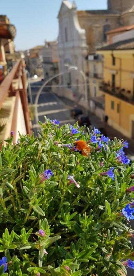 Il Nido B&B San Vito Chietino Kültér fotó